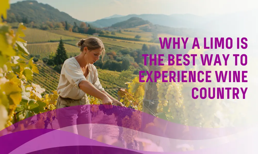 Why is a Limo the Best Way to Experience Wine Country?